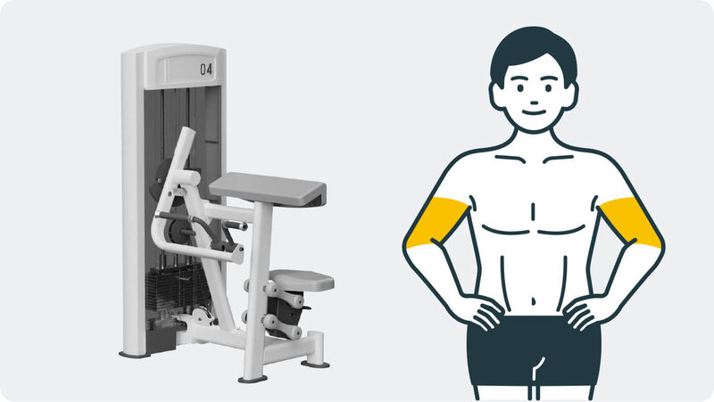 バイセップスカール