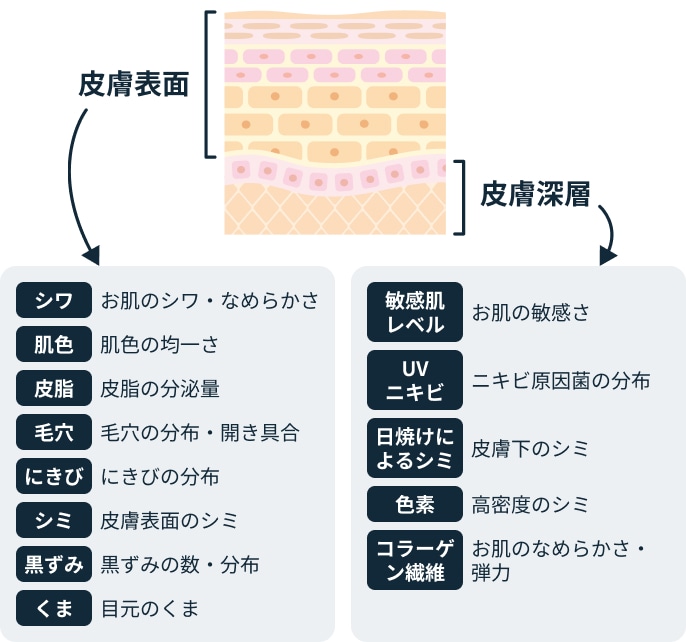 診断項目は全13項目!