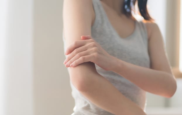 お肌の健康向上