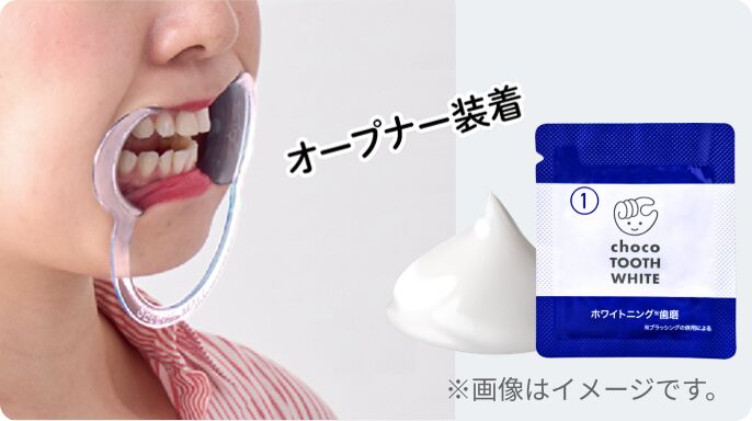 歯に歯磨ペーストを塗布