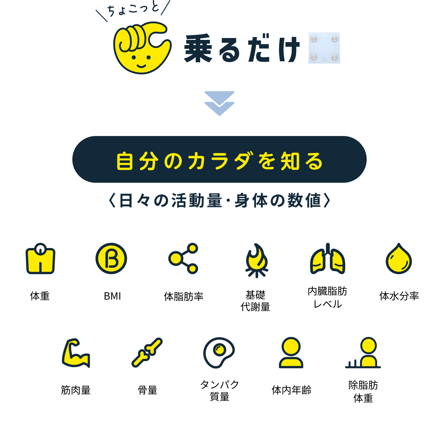 ちょこっと「乗るだけ」「身につけるだけ」→自分のカラダを知る<日々の活動量・身体の数値>