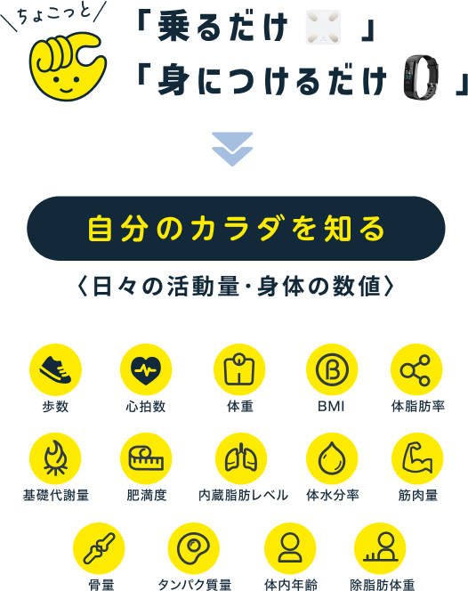 ちょこっと「乗るだけ」「身につけるだけ」→自分のカラダを知る＜日々の活動量・身体の数値＞